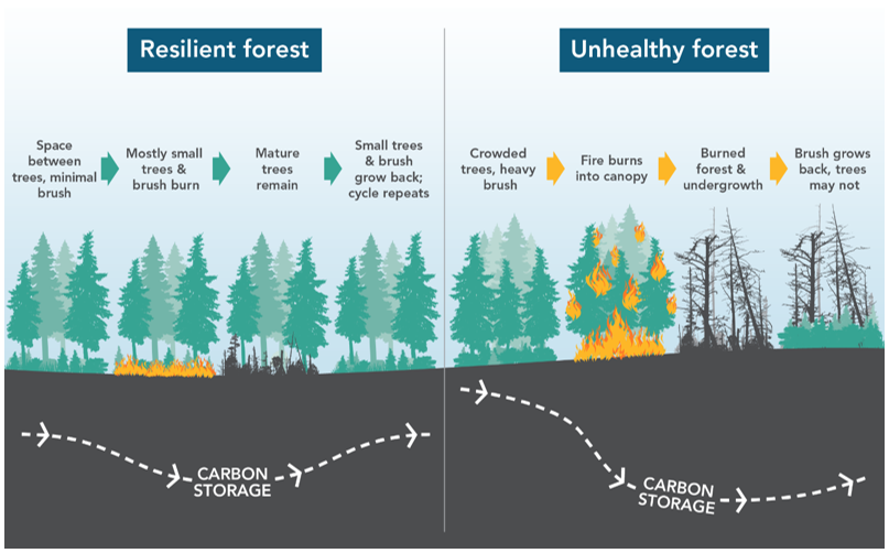 Frequently Asked Questions Wildfire Emissions California Air